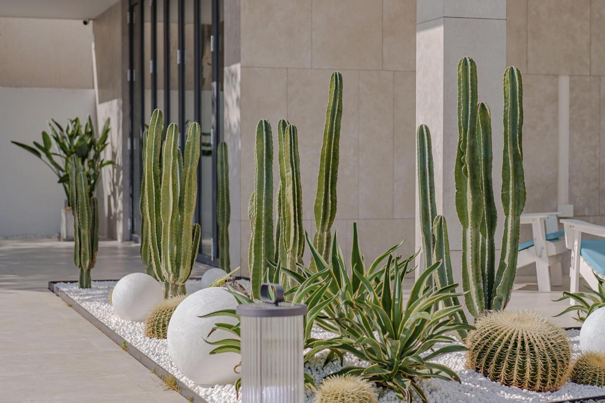 Dali Oriental Seaview Hotel -Dali Erhai 外观 照片